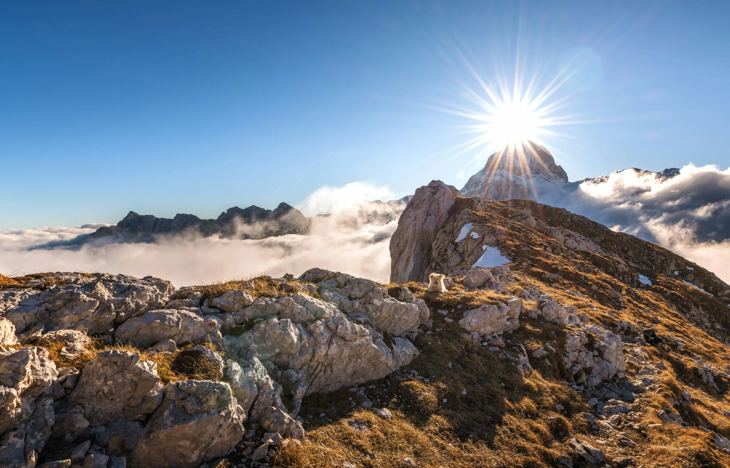 Mehr über den Artikel erfahren LIFE-COACHING: ORIENTIERUNG & FOKUS | MACH DEIN DING 